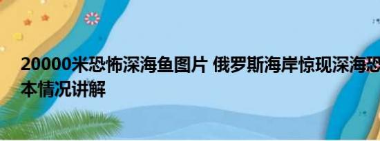 20000米恐怖深海鱼图片 俄罗斯海岸惊现深海恐怖怪鱼 基本情况讲解