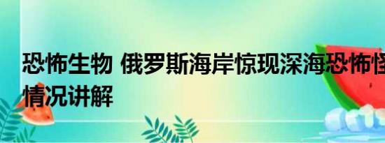 恐怖生物 俄罗斯海岸惊现深海恐怖怪鱼 基本情况讲解