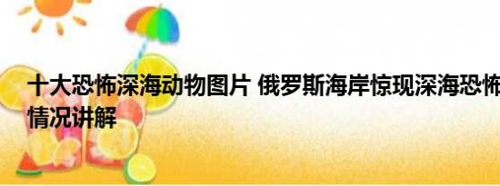 十大恐怖深海动物图片 俄罗斯海岸惊现深海恐怖怪鱼 基本情况讲解