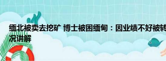 缅北被卖去挖矿 博士被困缅甸：因业绩不好被转卖 基本情况讲解