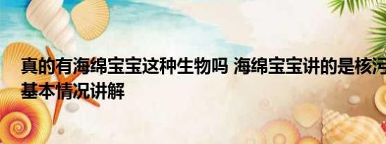 真的有海绵宝宝这种生物吗 海绵宝宝讲的是核污染的故事 基本情况讲解