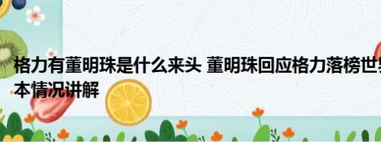 格力有董明珠是什么来头 董明珠回应格力落榜世界500强 基本情况讲解