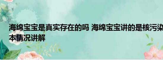 海绵宝宝是真实存在的吗 海绵宝宝讲的是核污染的故事 基本情况讲解