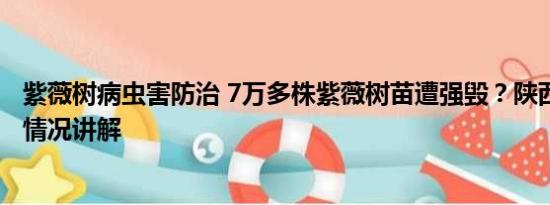 紫薇树病虫害防治 7万多株紫薇树苗遭强毁？陕西通报 基本情况讲解