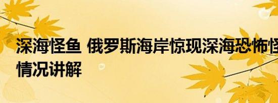 深海怪鱼 俄罗斯海岸惊现深海恐怖怪鱼 基本情况讲解