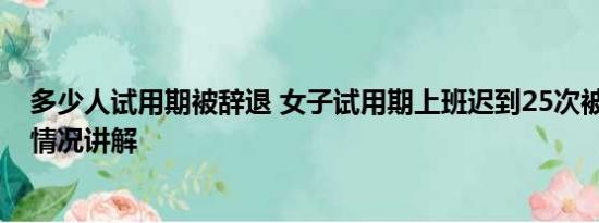 多少人试用期被辞退 女子试用期上班迟到25次被辞退 基本情况讲解