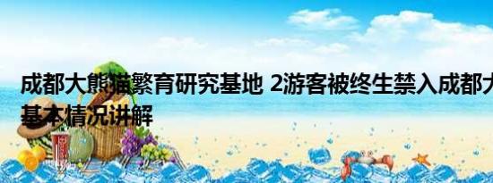 成都大熊猫繁育研究基地 2游客被终生禁入成都大熊猫基地 基本情况讲解