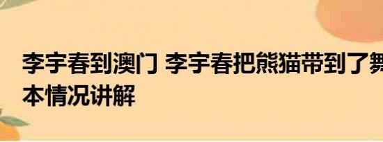 李宇春到澳门 李宇春把熊猫带到了舞台上 基本情况讲解