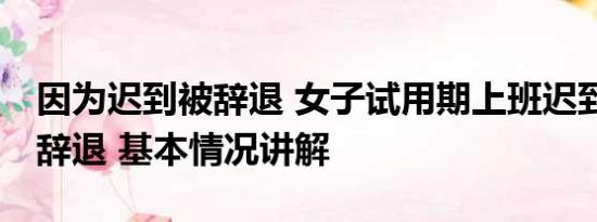 因为迟到被辞退 女子试用期上班迟到25次被辞退 基本情况讲解