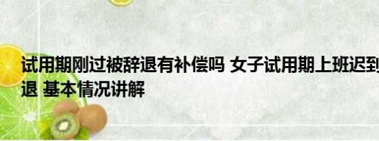 试用期刚过被辞退有补偿吗 女子试用期上班迟到25次被辞退 基本情况讲解