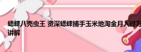 蟋蟀八壳虫王 资深蟋蟀捕手玉米地淘金月入过万 基本情况讲解