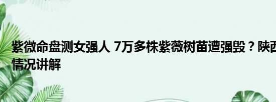 紫微命盘测女强人 7万多株紫薇树苗遭强毁？陕西通报 基本情况讲解