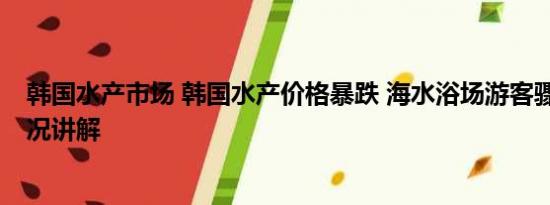 韩国水产市场 韩国水产价格暴跌 海水浴场游客骤减 基本情况讲解