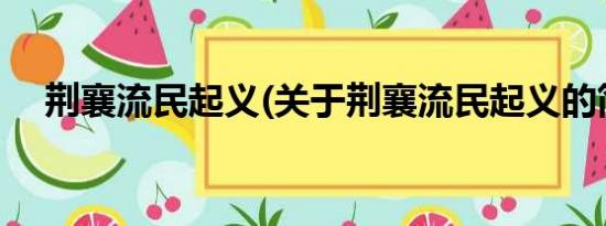 荆襄流民起义(关于荆襄流民起义的简介)