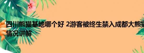 四川熊猫基地哪个好 2游客被终生禁入成都大熊猫基地 基本情况讲解