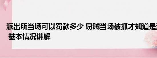 派出所当场可以罚款多少 窃贼当场被抓才知道是派出所门口 基本情况讲解