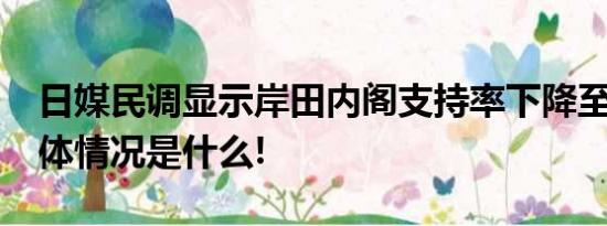 日媒民调显示岸田内阁支持率下降至26% 具体情况是什么!