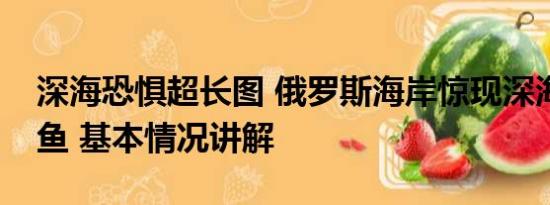 深海恐惧超长图 俄罗斯海岸惊现深海恐怖怪鱼 基本情况讲解