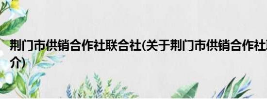 荆门市供销合作社联合社(关于荆门市供销合作社联合社的简介)