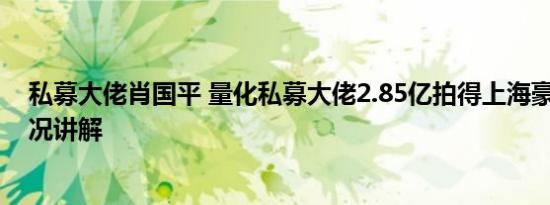 私募大佬肖国平 量化私募大佬2.85亿拍得上海豪宅 基本情况讲解