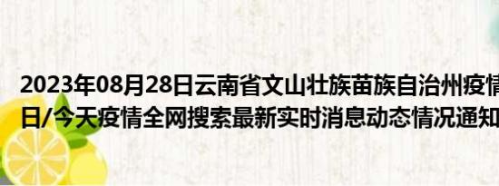 2023年08月28日云南省文山壮族苗族自治州疫情大数据-今日/今天疫情全网搜索最新实时消息动态情况通知播报