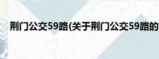 荆门公交59路(关于荆门公交59路的简介)