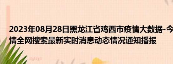 2023年08月28日黑龙江省鸡西市疫情大数据-今日/今天疫情全网搜索最新实时消息动态情况通知播报