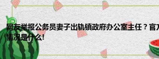 网友举报公务员妻子出轨镇政府办公室主任？官方回应 具体情况是什么!