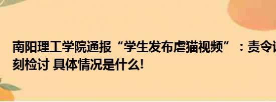 南阳理工学院通报“学生发布虐猫视频”：责令该生作出深刻检讨 具体情况是什么!