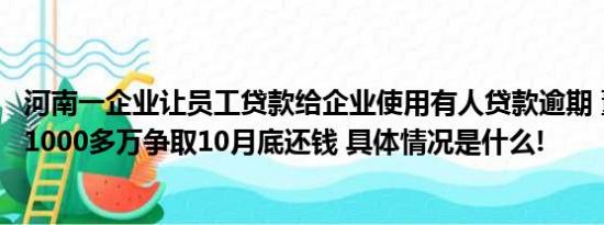 河南一企业让员工贷款给企业使用有人贷款逾期 董事长：涉1000多万争取10月底还钱 具体情况是什么!