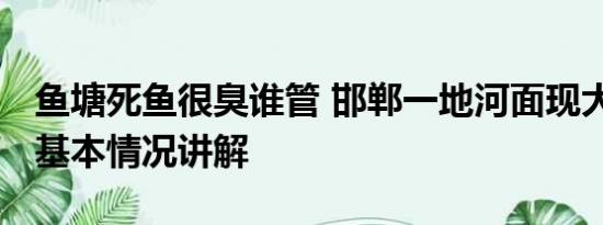 鱼塘死鱼很臭谁管 邯郸一地河面现大量死鱼 基本情况讲解