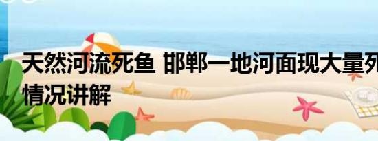 天然河流死鱼 邯郸一地河面现大量死鱼 基本情况讲解