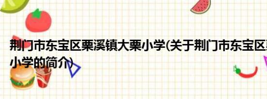 荆门市东宝区栗溪镇大栗小学(关于荆门市东宝区栗溪镇大栗小学的简介)