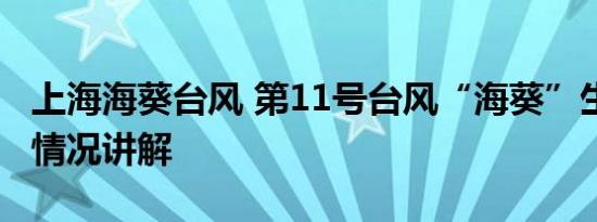 上海海葵台风 第11号台风“海葵”生成 基本情况讲解