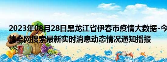 2023年08月28日黑龙江省伊春市疫情大数据-今日/今天疫情全网搜索最新实时消息动态情况通知播报