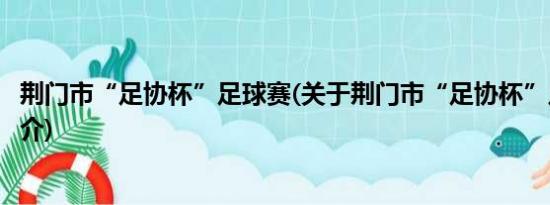 荆门市“足协杯”足球赛(关于荆门市“足协杯”足球赛的简介)