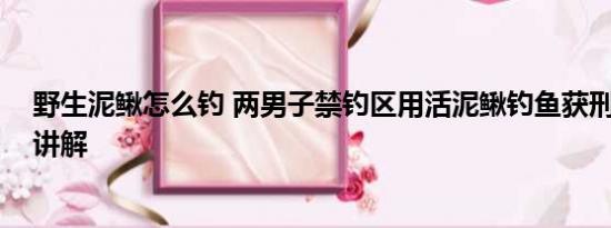 野生泥鳅怎么钓 两男子禁钓区用活泥鳅钓鱼获刑 基本情况讲解