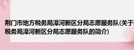 荆门市地方税务局漳河新区分局志愿服务队(关于荆门市地方税务局漳河新区分局志愿服务队的简介)