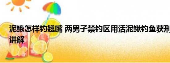 泥鳅怎样钓翘嘴 两男子禁钓区用活泥鳅钓鱼获刑 基本情况讲解