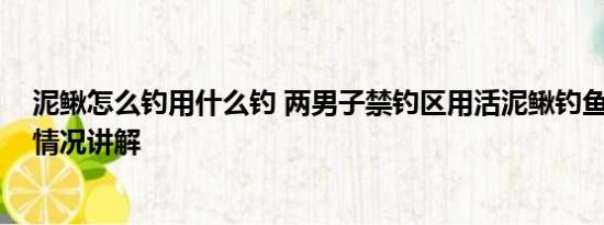 泥鳅怎么钓用什么钓 两男子禁钓区用活泥鳅钓鱼获刑 基本情况讲解