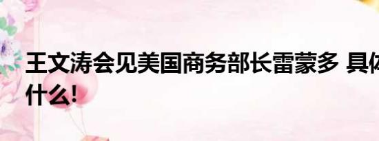 王文涛会见美国商务部长雷蒙多 具体情况是什么!