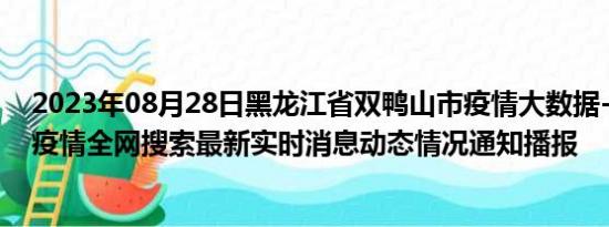 2023年08月28日黑龙江省双鸭山市疫情大数据-今日/今天疫情全网搜索最新实时消息动态情况通知播报