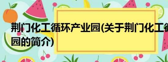 荆门化工循环产业园(关于荆门化工循环产业园的简介)