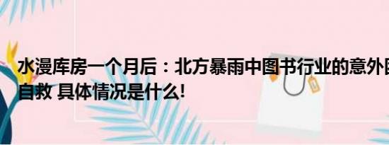 水漫库房一个月后：北方暴雨中图书行业的意外困境与艰难自救 具体情况是什么!