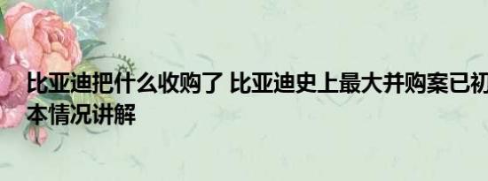 比亚迪把什么收购了 比亚迪史上最大并购案已初步敲定 基本情况讲解