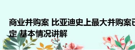 商业并购案 比亚迪史上最大并购案已初步敲定 基本情况讲解