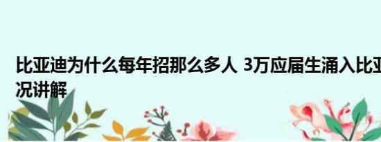 比亚迪为什么每年招那么多人 3万应届生涌入比亚迪 基本情况讲解