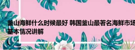 釜山海鲜什么时候最好 韩国釜山最著名海鲜市场生意冷清 基本情况讲解