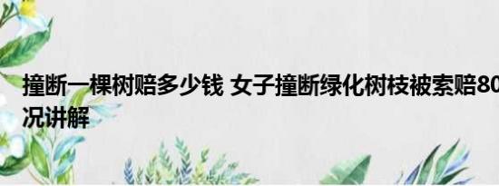 撞断一棵树赔多少钱 女子撞断绿化树枝被索赔8000 基本情况讲解