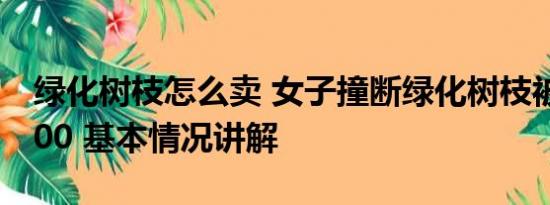 绿化树枝怎么卖 女子撞断绿化树枝被索赔8000 基本情况讲解